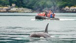 Alaska